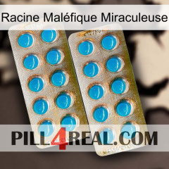 Racine Maléfique Miraculeuse new08